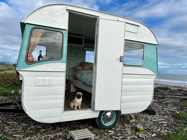 pug camping